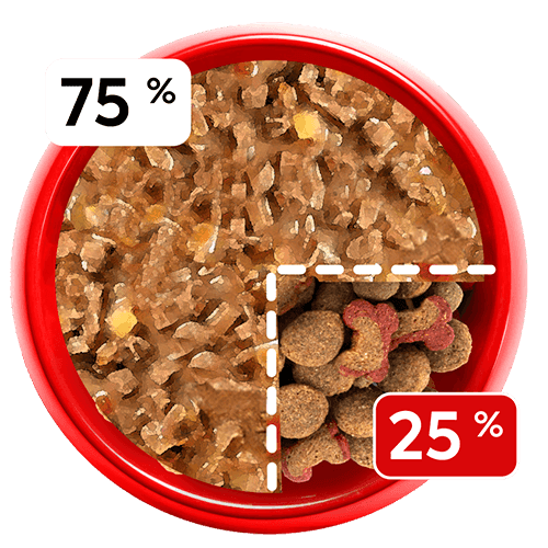 Proporción de mezcla Pequeño 75% seco y 25% húmedo