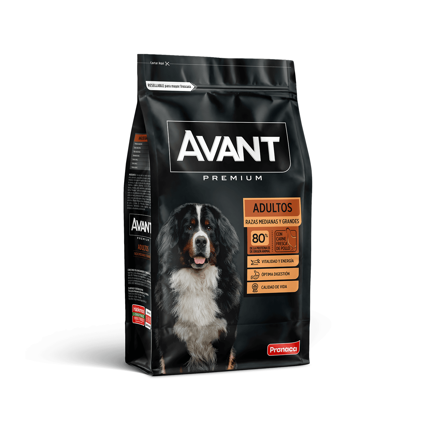 Avant Adultos Razas Medianas / Grandes