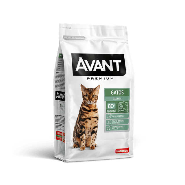Avant Gatos