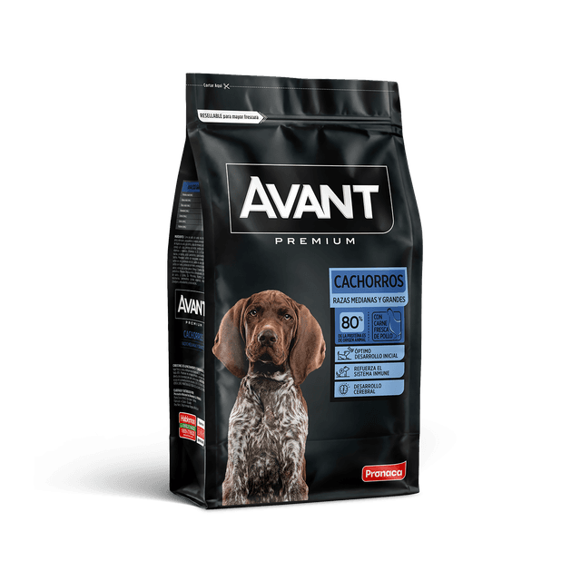 Avant Cachorro Razas Medianas / Grandes