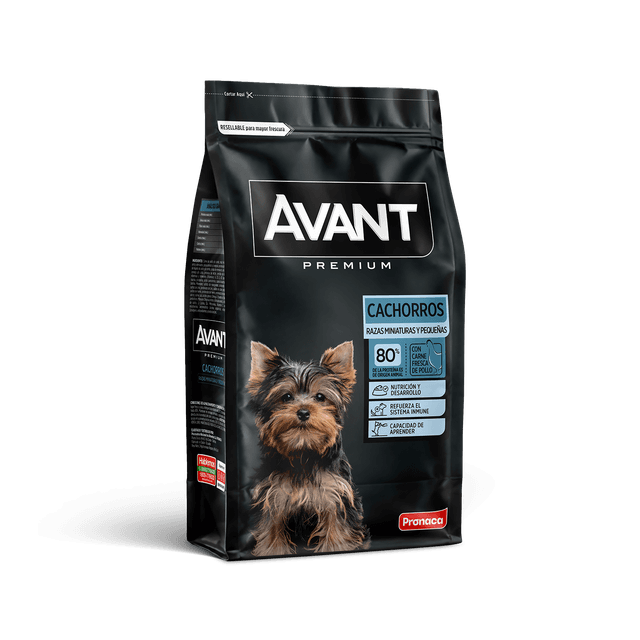 Avant Cachorros Razas Miniaturas / Pequeñas
