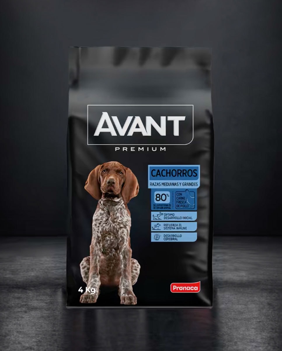 Avant Premium perros — contenido en TikTok