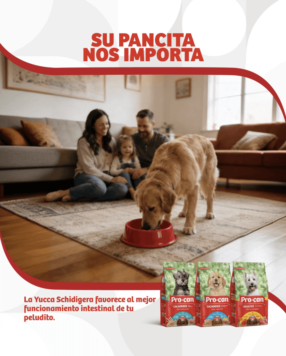 Pro-can — contenido en Instagram