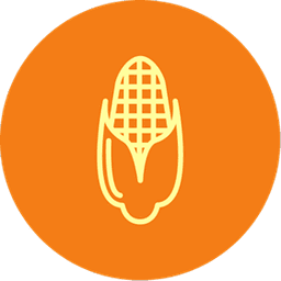 +110 agricultores de maíz