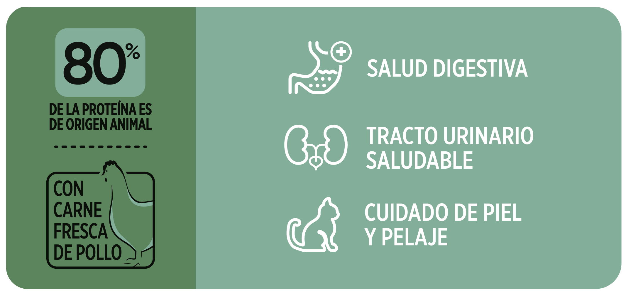 Beneficios Avant Gatos