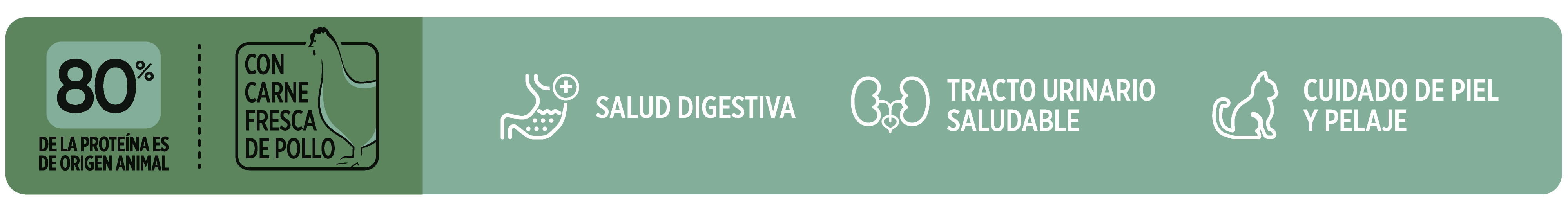 Beneficios Avant Gatos