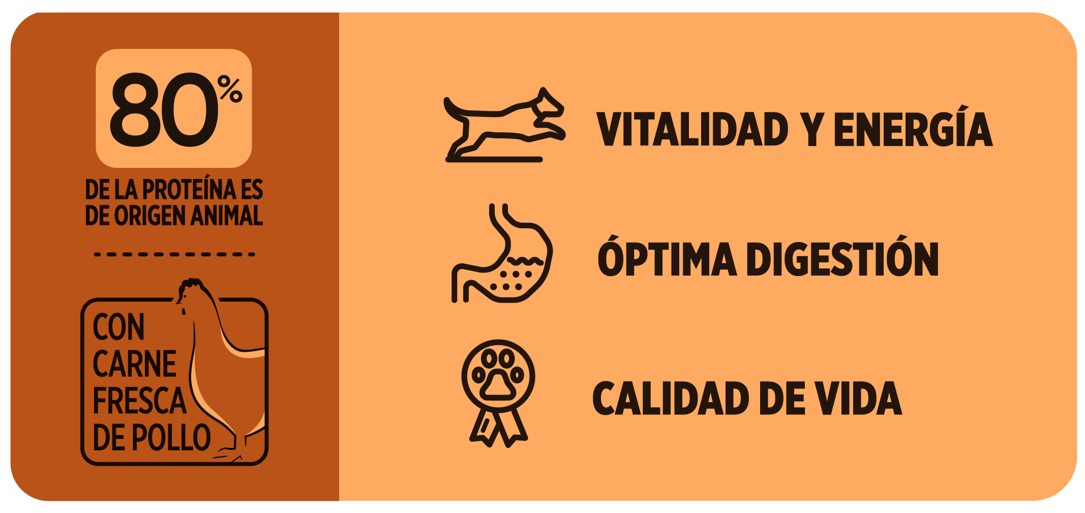 Beneficios Avant Perros