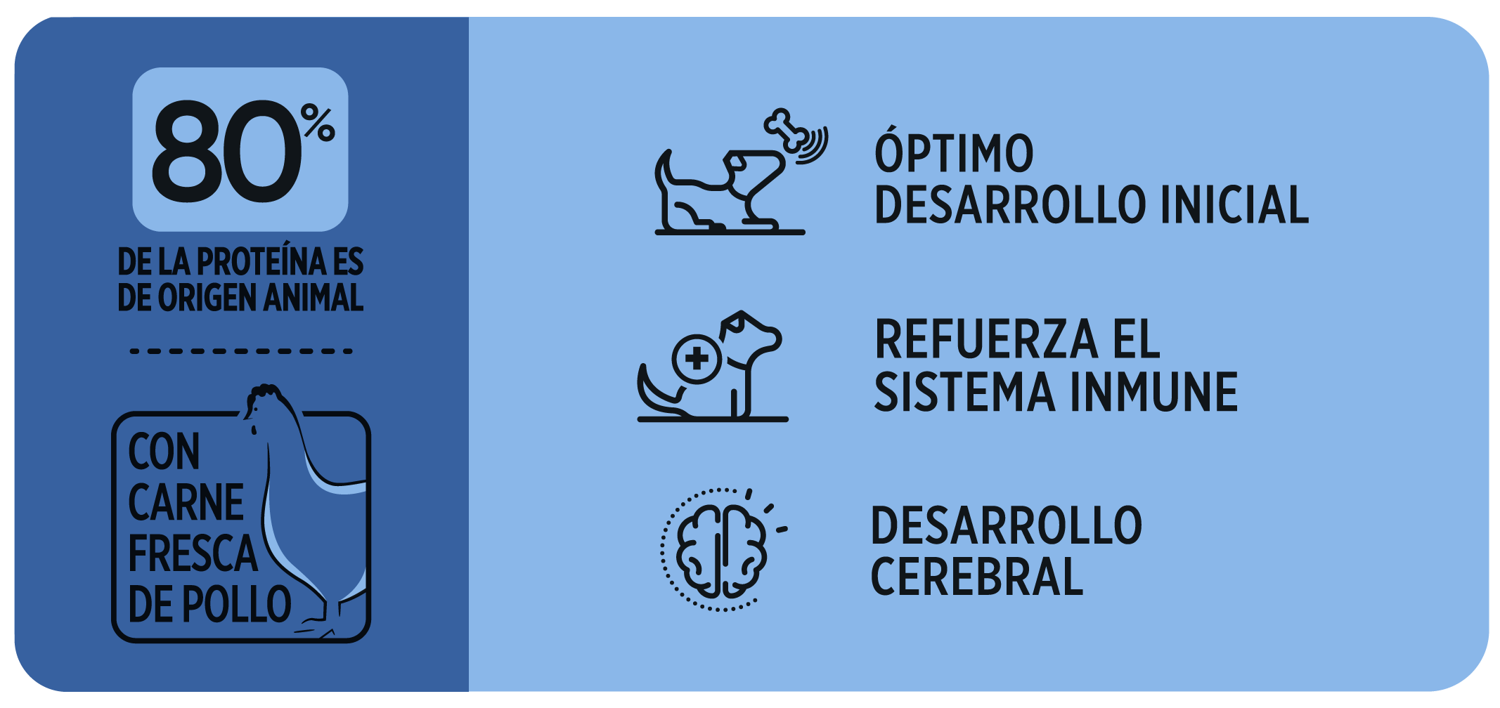 Beneficios Avant Perros