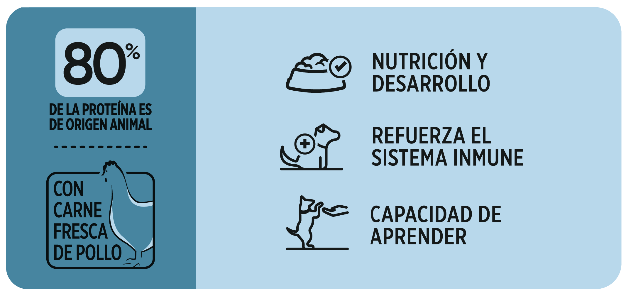 Beneficios Avant Perros