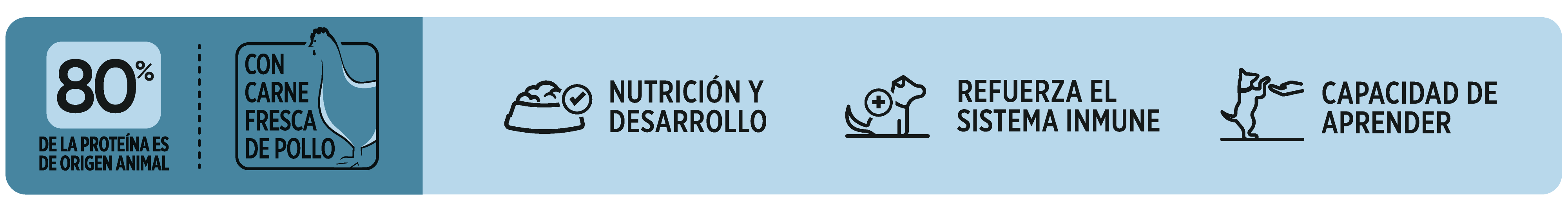 Beneficios Avant Perros